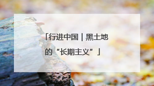 行进中国｜黑土地的“长期主义”
