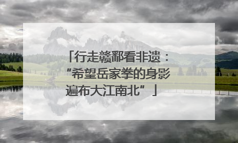 行走赣鄱看非遗：“希望岳家拳的身影遍布大江南北”