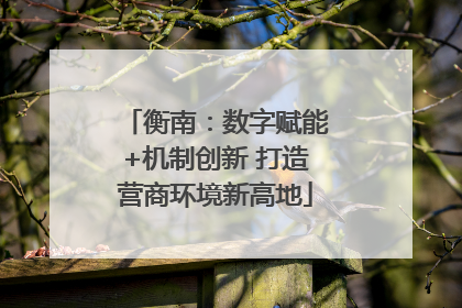 衡南：数字赋能+机制创新 打造营商环境新高地