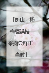 衡山：杨梅缀满枝 采摘尝鲜正当时