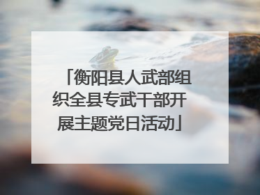 衡阳县人武部组织全县专武干部开展主题党日活动