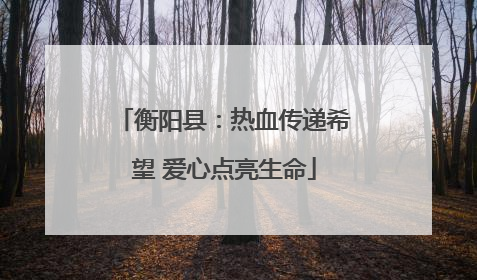 衡阳县：热血传递希望 爱心点亮生命