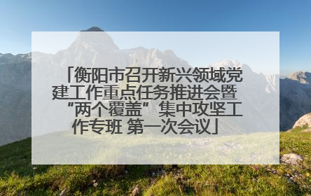 衡阳市召开新兴领域党建工作重点任务推进会暨“两个覆盖”集中攻坚工作专班 第一次会议