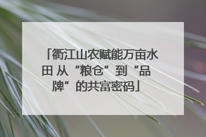 衢江山农赋能万亩水田 从“粮仓”到“品牌”的共富密码