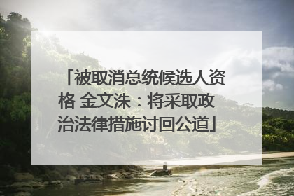 被取消总统候选人资格 金文洙：将采取政治法律措施讨回公道