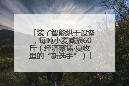 装了智能烘干设备，每吨小麦减损60斤（经济聚焦·夏收里的“新选手”）