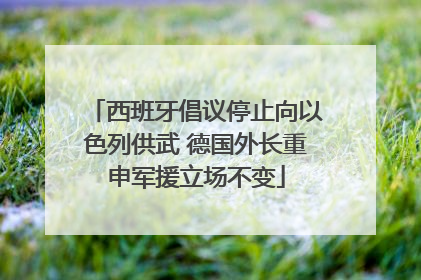 西班牙倡议停止向以色列供武 德国外长重申军援立场不变