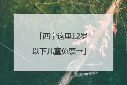 西宁这里12岁以下儿童免票→
