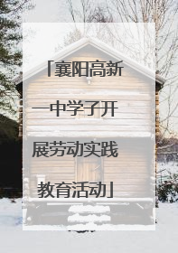 襄阳高新一中学子开展劳动实践教育活动