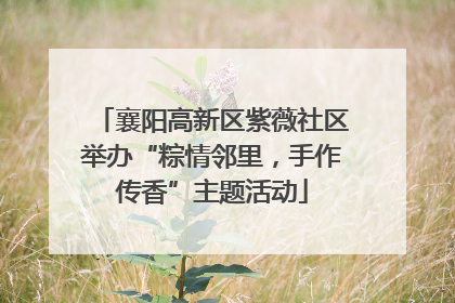 襄阳高新区紫薇社区举办“粽情邻里，手作传香”主题活动