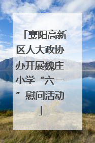 襄阳高新区人大政协办开展魏庄小学“六一”慰问活动