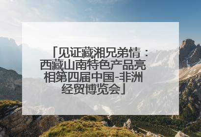 见证藏湘兄弟情：西藏山南特色产品亮相第四届中国-非洲经贸博览会