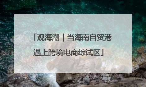 观海潮｜当海南自贸港遇上跨境电商综试区