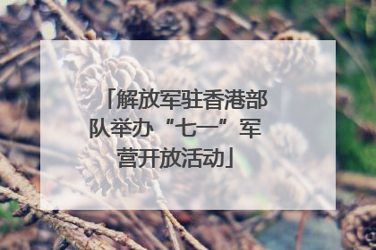 解放军驻香港部队举办“七一”军营开放活动