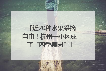 近20种水果采摘自由！杭州一小区成了“四季果园”