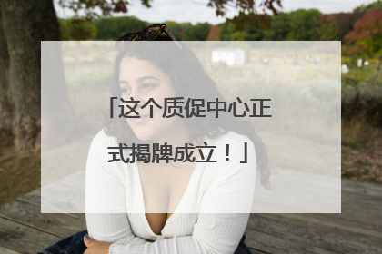 这个质促中心正式揭牌成立！