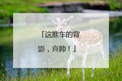 这推车的背影，真帅！