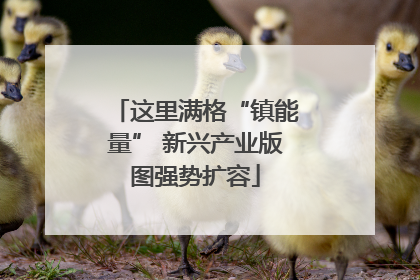 这里满格“镇能量” 新兴产业版图强势扩容