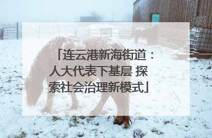 连云港新海街道：人大代表下基层 探索社会治理新模式