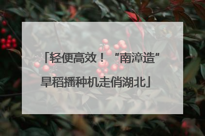 轻便高效！“南漳造”旱稻播种机走俏湖北