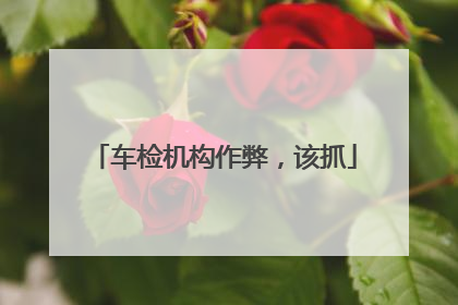 车检机构作弊，该抓