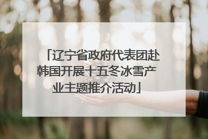 辽宁省政府代表团赴韩国开展十五冬冰雪产业主题推介活动