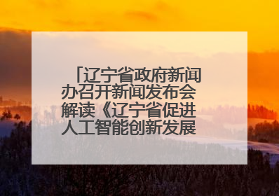 辽宁省政府新闻办召开新闻发布会解读《辽宁省促进人工智能创新发展实施方案》