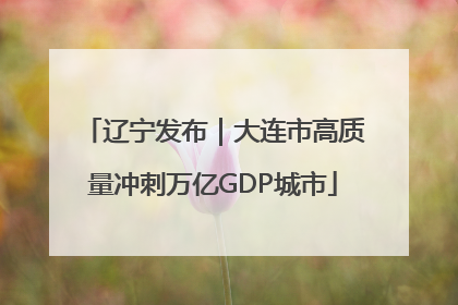 辽宁发布｜大连市高质量冲刺万亿GDP城市