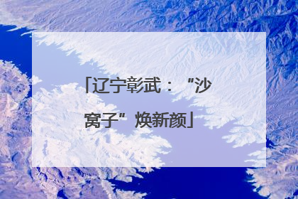 辽宁彰武：“沙窝子”焕新颜