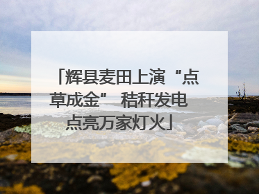 辉县麦田上演“点草成金” 秸秆发电点亮万家灯火