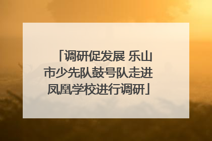 调研促发展 乐山市少先队鼓号队走进凤凰学校进行调研