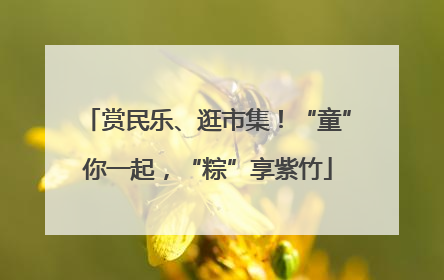 赏民乐、逛市集！“童”你一起，“粽”享紫竹