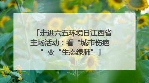 走进六五环境日江西省主场活动：看“城市伤疤”变“生态绿肺”
