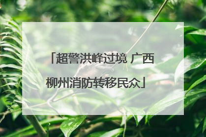 超警洪峰过境 广西柳州消防转移民众
