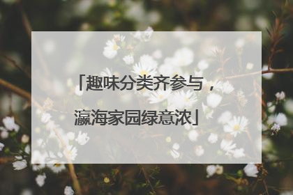 趣味分类齐参与，瀛海家园绿意浓