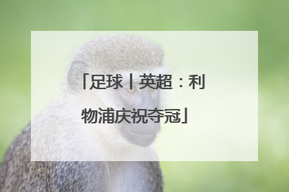 足球丨英超：利物浦庆祝夺冠