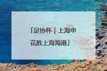 足协杯｜上海申花胜上海海港