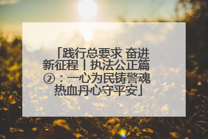 践行总要求 奋进新征程丨执法公正篇②：一心为民铸警魂 热血丹心守平安