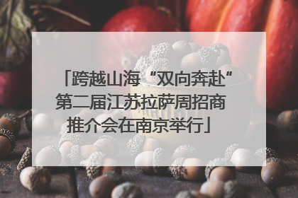 跨越山海“双向奔赴” 第二届江苏拉萨周招商推介会在南京举行
