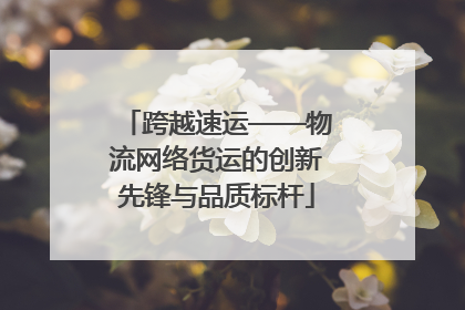 跨越速运——物流网络货运的创新先锋与品质标杆
