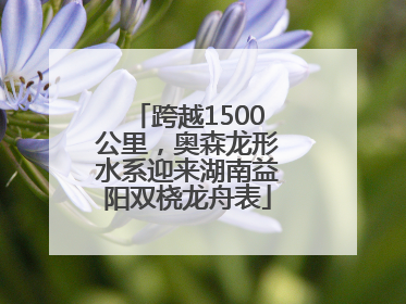 跨越1500公里，奥森龙形水系迎来湖南益阳双桡龙舟表