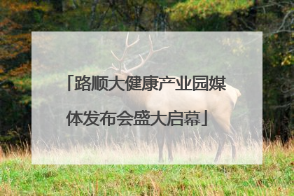 路顺大健康产业园媒体发布会盛大启幕