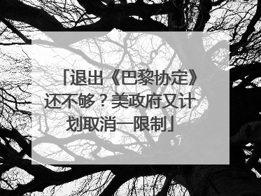 退出《巴黎协定》还不够？美政府又计划取消一限制