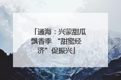 通海：兴蒙甜瓜飘香季 “甜蜜经济”促振兴