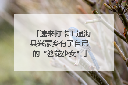 速来打卡！通海县兴蒙乡有了自己的“簪花少女”