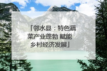 邻水县：特色蔬菜产业蓬勃 赋能乡村经济发展