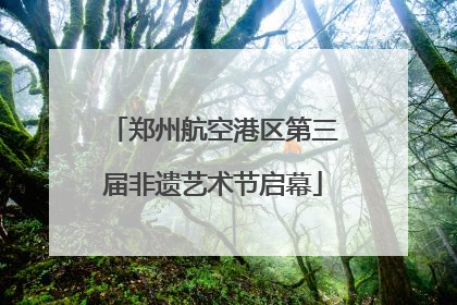 郑州航空港区第三届非遗艺术节启幕