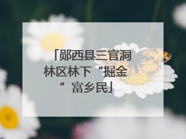 郧西县三官洞林区林下“掘金”富乡民