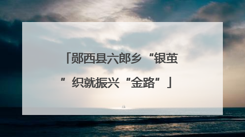 郧西县六郎乡“银茧”织就振兴“金路”
