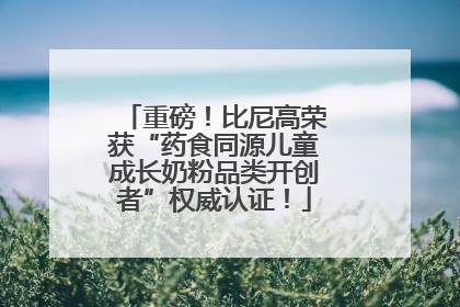 重磅！比尼高荣获“药食同源儿童成长奶粉品类开创者”权威认证！